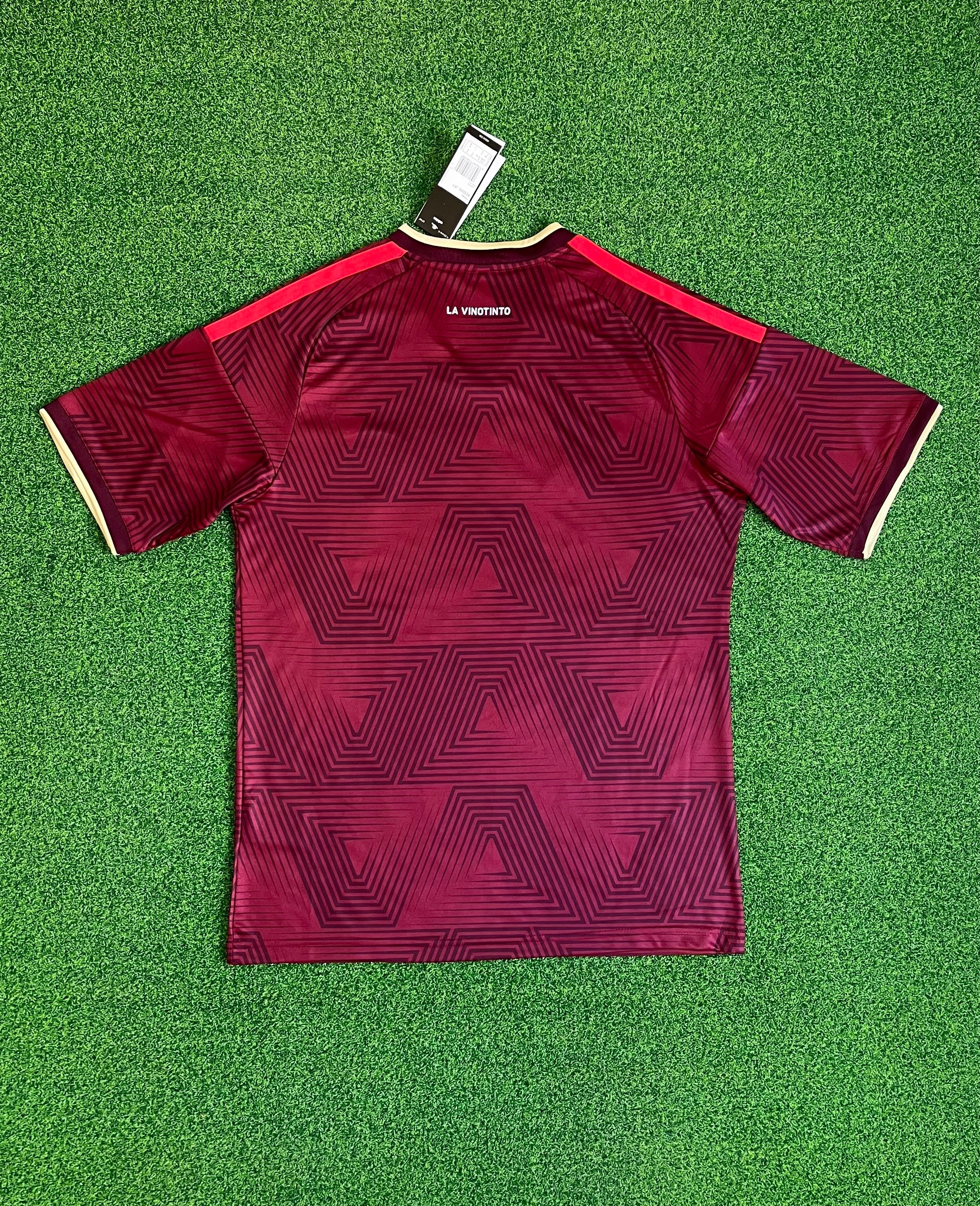 Venezuela 2026 WK-thuistenue