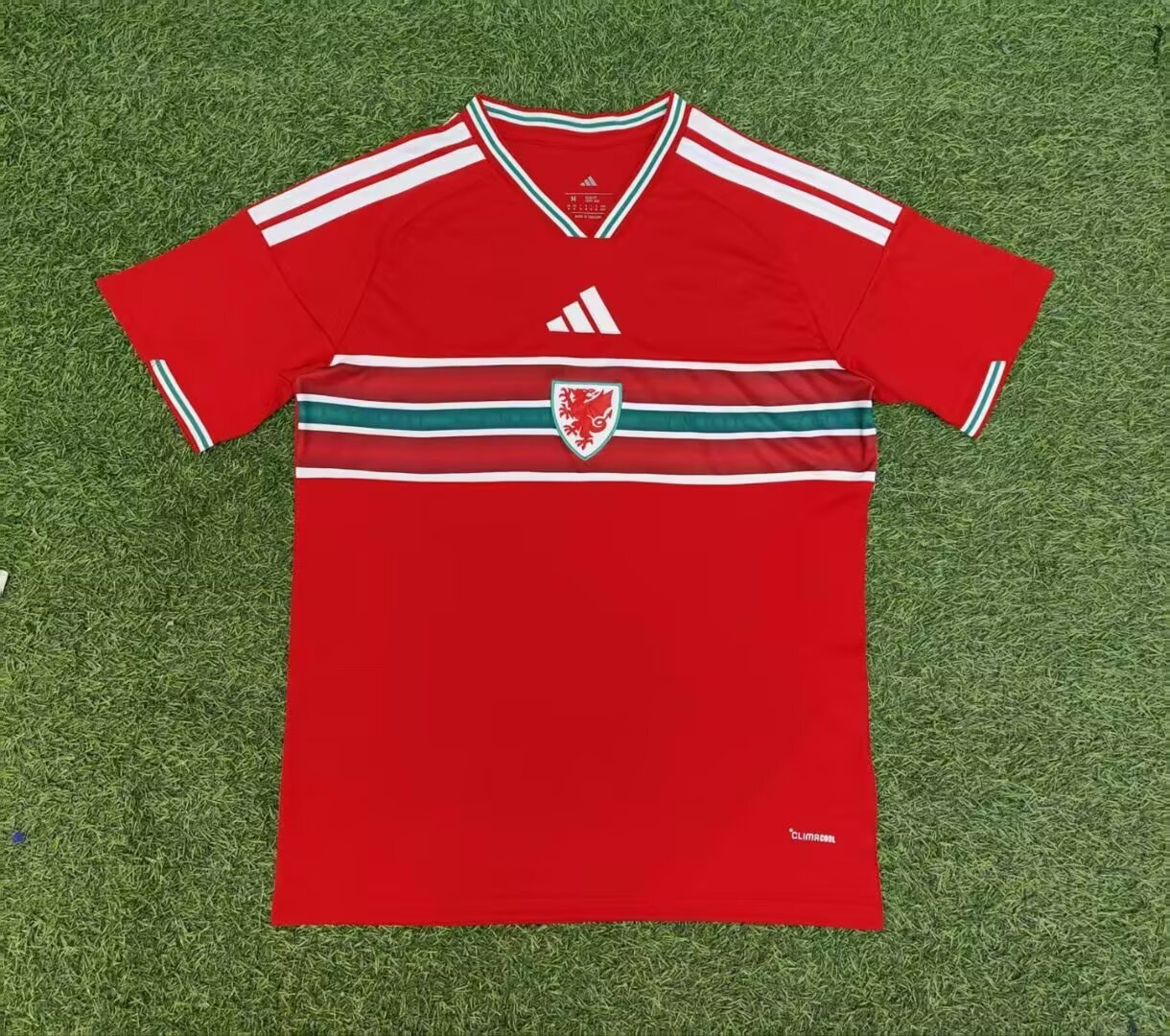 Wales 2026 WK-thuistenue 